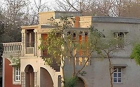 Jungle Lodge Maneland